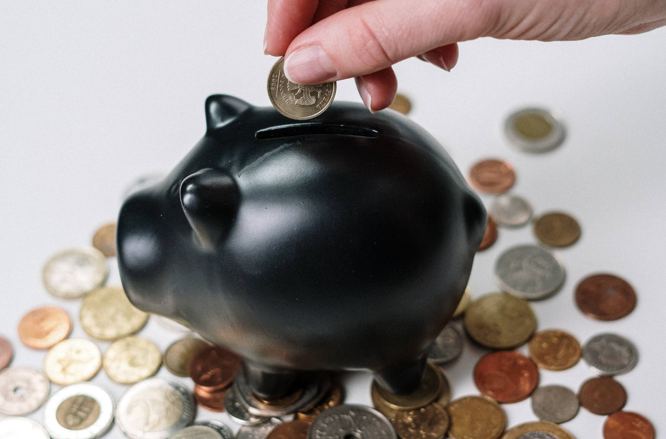 We embrace your dreams of financial growth.
